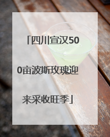 四川宣汉500亩波斯玫瑰迎来采收旺季