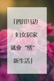 四川马边：妇女居家就业“绣”新生活