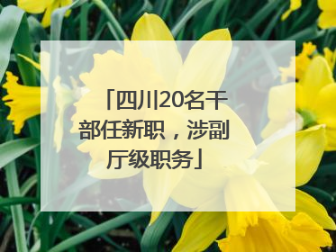 四川20名干部任新职，涉副厅级职务