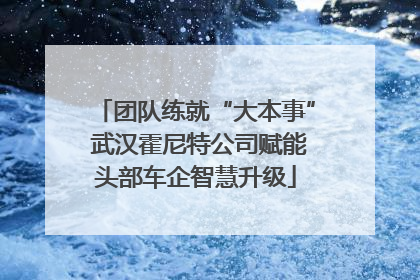 团队练就“大本事” 武汉霍尼特公司赋能头部车企智慧升级