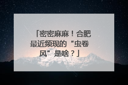 密密麻麻！合肥最近频现的“虫卷风”是啥？