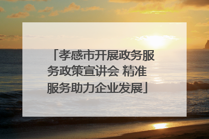 孝感市开展政务服务政策宣讲会 精准服务助力企业发展
