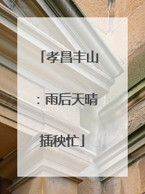 孝昌丰山：雨后天晴插秧忙