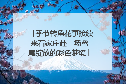 季节转角花事接续 来石家庄赴一场鸢尾绽放的彩色梦境