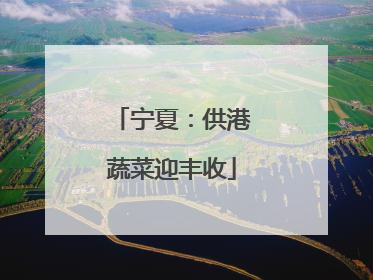宁夏：供港蔬菜迎丰收