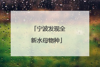 宁波发现全新水母物种