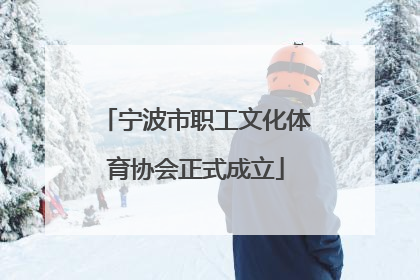 宁波市职工文化体育协会正式成立