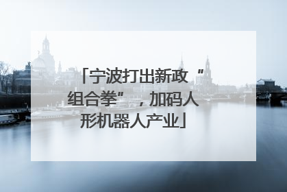 宁波打出新政“组合拳”，加码人形机器人产业