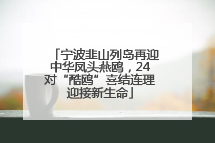 宁波韭山列岛再迎中华凤头燕鸥，24对“酷鸥”喜结连理迎接新生命
