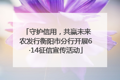 守护信用，共赢未来 农发行衡阳市分行开展6·14征信宣传活动