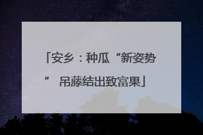 安乡：种瓜“新姿势” 吊藤结出致富果