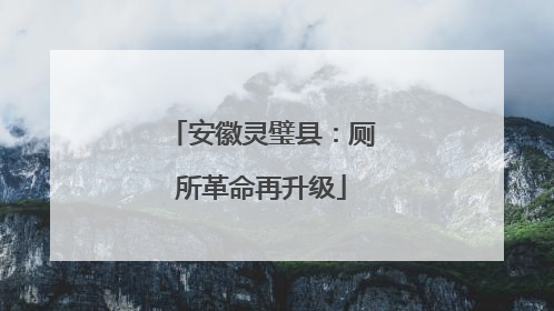 安徽灵璧县：厕所革命再升级