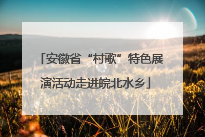 安徽省“村歌”特色展演活动走进皖北水乡