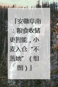 安徽阜南：粮食收储更智能，小麦入仓“不落地”（组图）
