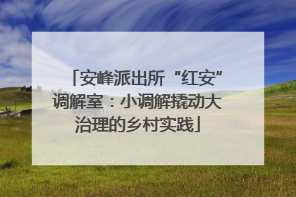 安峰派出所“红安”调解室：小调解撬动大治理的乡村实践