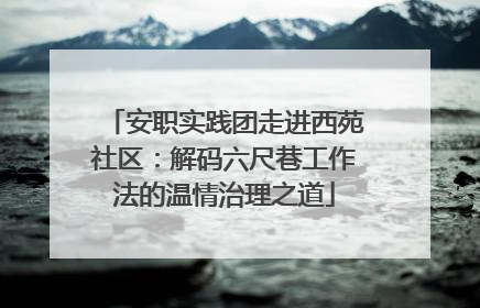 安职实践团走进西苑社区：解码六尺巷工作法的温情治理之道
