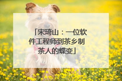 宋琦山：一位软件工程师到茶乡制茶人的蝶变