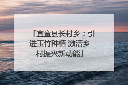 宜章县长村乡：引进玉竹种植 激活乡村振兴新动能