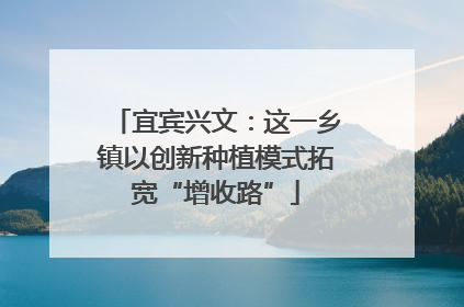 宜宾兴文：这一乡镇以创新种植模式拓宽“增收路”