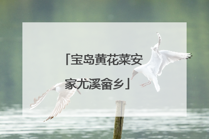 宝岛黄花菜安家尤溪畲乡