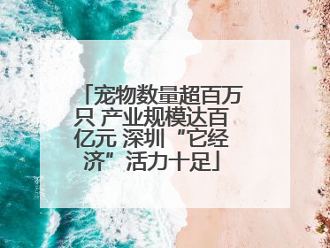 宠物数量超百万只 产业规模达百亿元 深圳“它经济”活力十足
