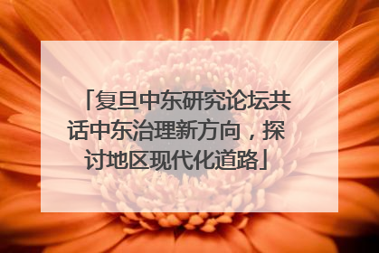 复旦中东研究论坛共话中东治理新方向，探讨地区现代化道路