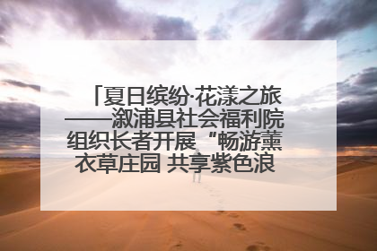 夏日缤纷·花漾之旅——溆浦县社会福利院组织长者开展“畅游薰衣草庄园 共享紫色浪漫”户外活动