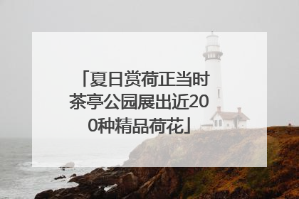 夏日赏荷正当时 茶亭公园展出近200种精品荷花