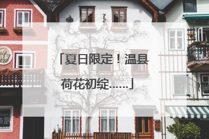 夏日限定！温县荷花初绽……