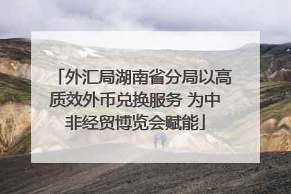 外汇局湖南省分局以高质效外币兑换服务 为中非经贸博览会赋能
