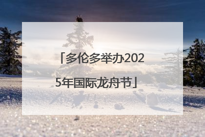 多伦多举办2025年国际龙舟节