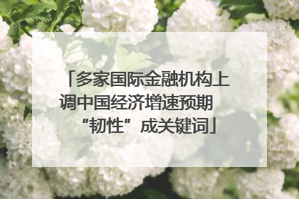 多家国际金融机构上调中国经济增速预期 “韧性”成关键词