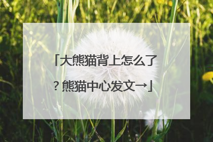 大熊猫背上怎么了？熊猫中心发文→