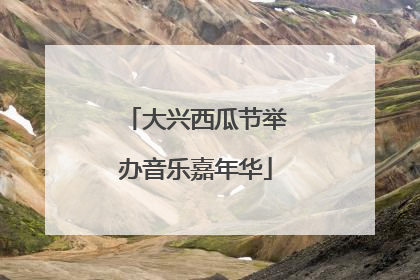 大兴西瓜节举办音乐嘉年华