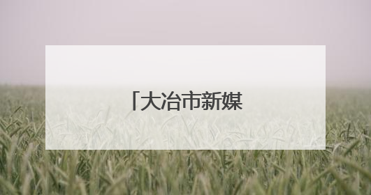 大冶市新媒体协会成立