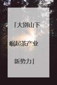 大别山下崛起茶产业新势力