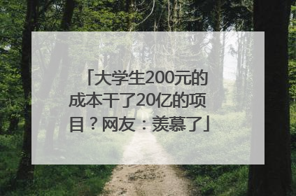 大学生200元的成本干了20亿的项目？网友：羡慕了
