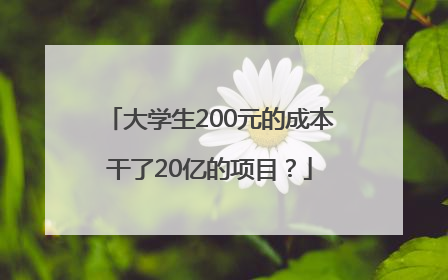 大学生200元的成本干了20亿的项目？