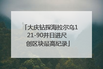 大庆钻探海拉尔乌121-90井日进尺 创区块最高纪录