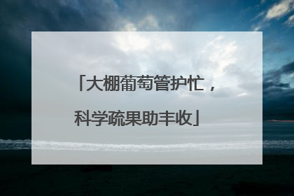 大棚葡萄管护忙，科学疏果助丰收