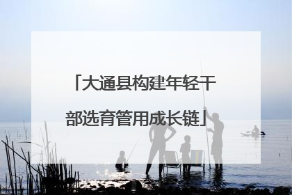 大通县构建年轻干部选育管用成长链