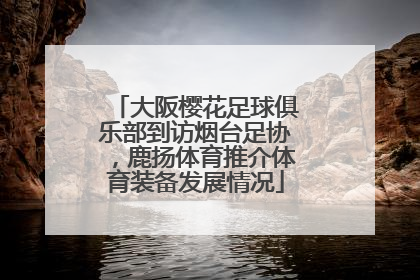 大阪樱花足球俱乐部到访烟台足协，鹿扬体育推介体育装备发展情况