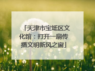 天津市宝坻区文化馆：打开一扇传播文明新风之窗