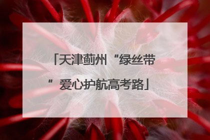 天津蓟州“绿丝带”爱心护航高考路