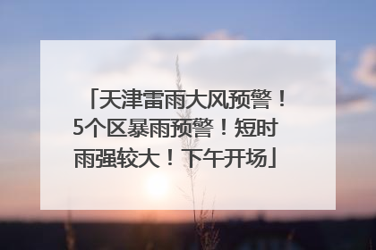 天津雷雨大风预警！5个区暴雨预警！短时雨强较大！下午开场