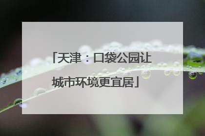 天津：口袋公园让城市环境更宜居