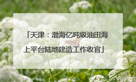 天津：渤海亿吨级油田海上平台陆地建造工作收官