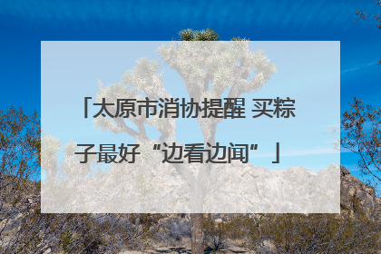 太原市消协提醒 买粽子最好“边看边闻”