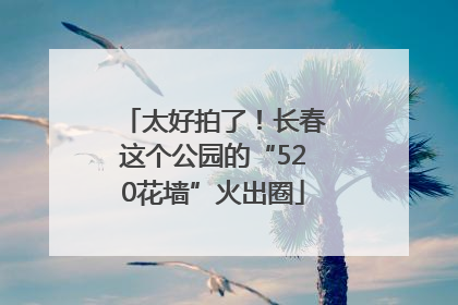 太好拍了！长春这个公园的“520花墙”火出圈