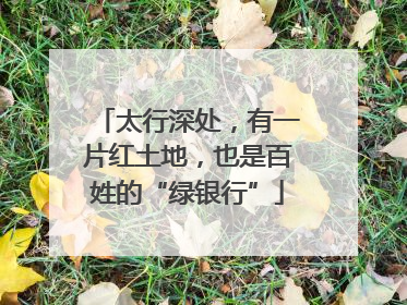太行深处，有一片红土地，也是百姓的“绿银行”